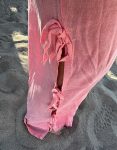 img_2954