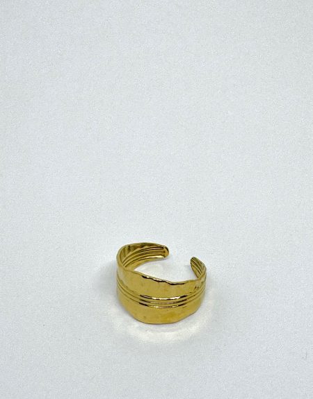 Anillo Basic