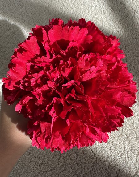 Ramillete Claveles Rojo