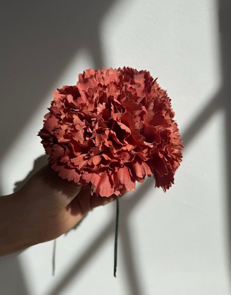 Ramillete Claveles Teja