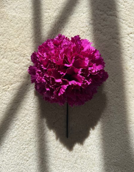 Ramillete Claveles Buganvilla