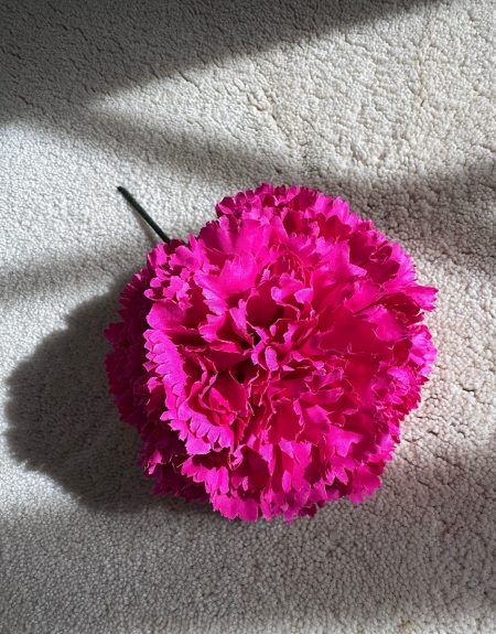 Ramillete Claveles Fucsia