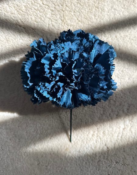 Ramillete Claveles Azul Oscuro