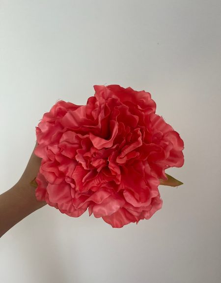 Peonía coral