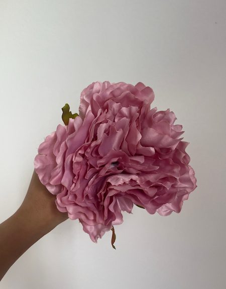Peonía rosa bebé