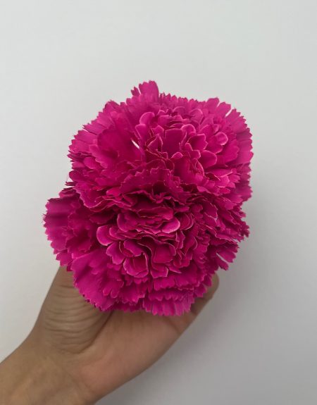 Clavel pinza fucsia